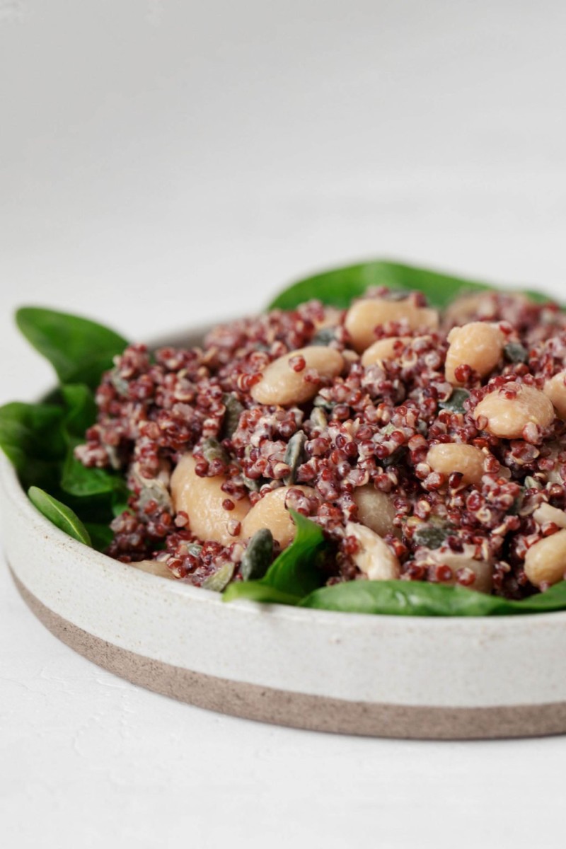 A dish made with red quinoa and pumpkin seeds rests on a green bed of baby spinach.